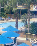 Best Western All Suites Hotel, Tampa, Florida